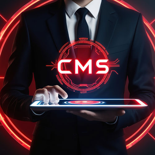 CMS based Website/Web Portal